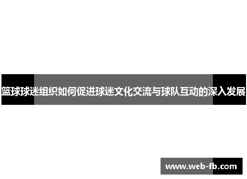 篮球球迷组织如何促进球迷文化交流与球队互动的深入发展