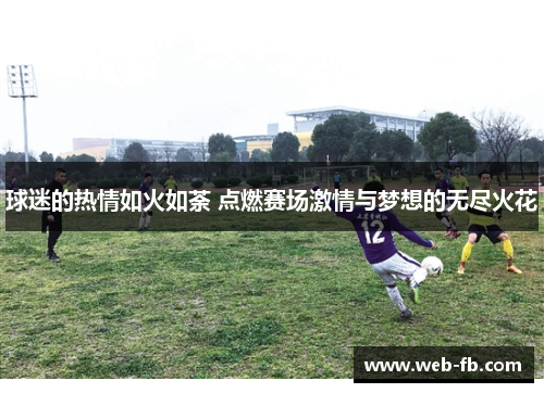 球迷的热情如火如荼 点燃赛场激情与梦想的无尽火花