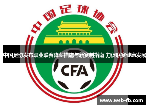 中国足协发布职业联赛降薪措施与新赛制指南 力促联赛健康发展