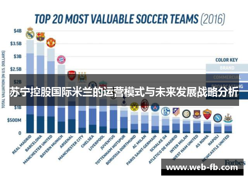 苏宁控股国际米兰的运营模式与未来发展战略分析