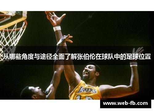 从哪些角度与途径全面了解张伯伦在球队中的足球位置